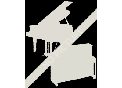 Steinway & Sons K132