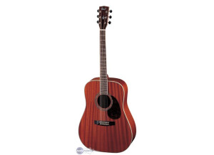 Cort Earth250