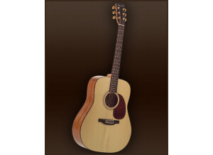 Guitares Boucher Genuine Natural Goose Dreadnought