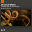 Applied Acoustics Journeys & Entangled Species