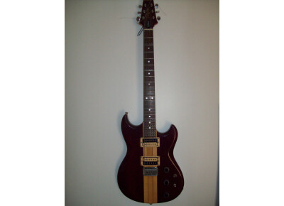 Aria Pro II ThorSound TS-300