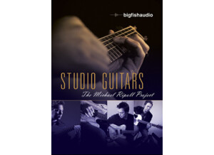 Big Fish Audio Studio Guitars: The Michael Ripoll Project