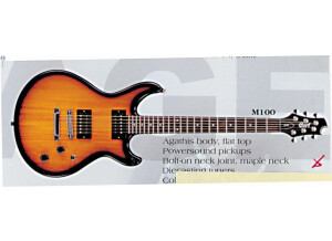 Cort M100