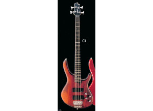 Cort Artisan NC4