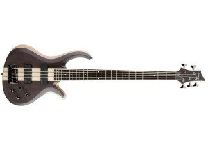 Schecter Riot-5 (2009)