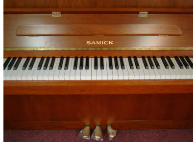 Samick JS 042