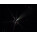 See the photo of the Sapro SUNRAY  Sapro SUNRAY