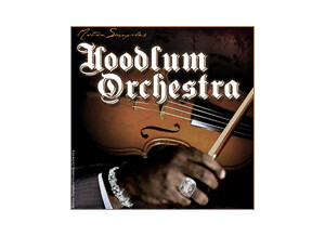 Motion Samples Hoodlum Orchestra