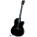 Gibson Chet Atkins SST