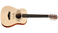 Taylor Guitars - Taylor Swift Signature Model