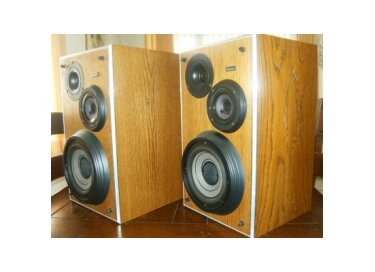 Dynaudio P16
