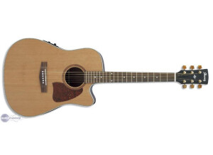 Ibanez AW15ECE