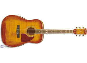 Ibanez AW200