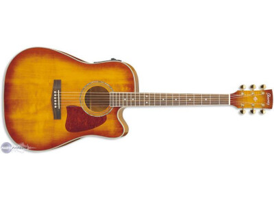 Ibanez AW200ECE