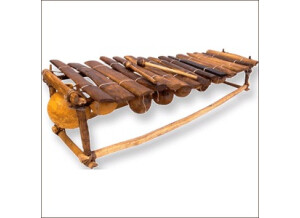 Bolder Sounds Toy and African Marimbas