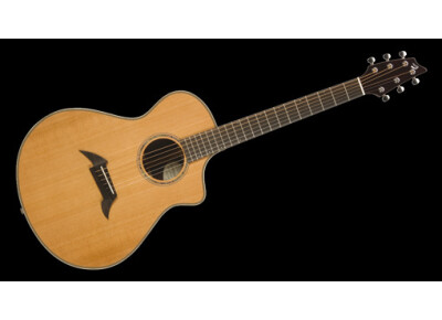 Breedlove Pro C25/CRH