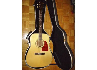 Ibanez AW100