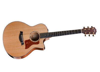 Taylor 516ce