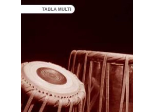 Tonehammer Tablas Vol. 2: Multi-Samples