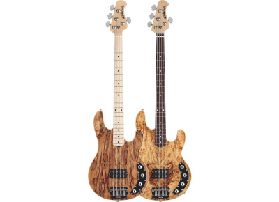 Music Man StingRay 4 Spalted Maple