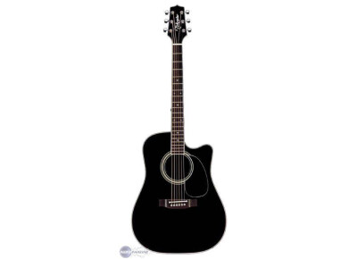 Takamine TF341DLX