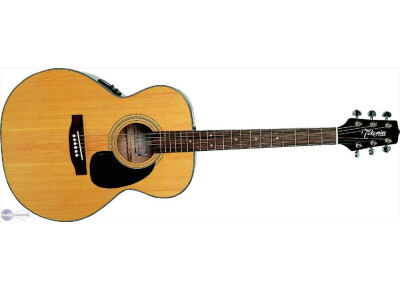 Takamine EGS230