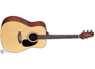 Takamine EGS240