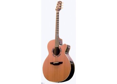 Takamine ESF45C