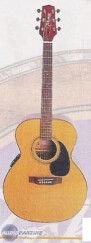 Takamine GS230