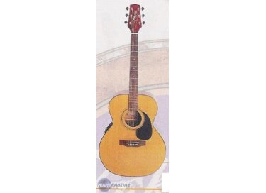 Takamine GS230