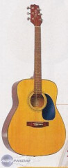 Takamine GS240