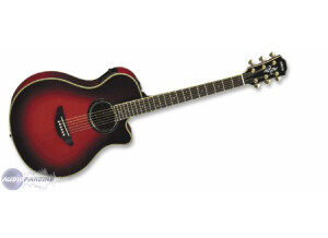 Yamaha APX9C