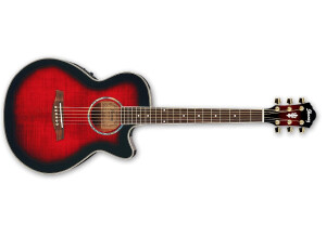 Ibanez AEG20E