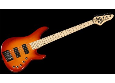 Vigier Excess 5 Strings