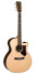 Martin Guitars Performing Artist Series