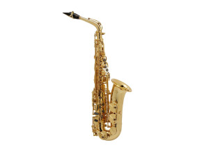 Selmer SA-80 SERIE II FIREBIRD GG