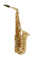 Selmer SA-80 SERIE II FIREBIRD GG