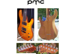 PMC GUITARS Nebuleyes
