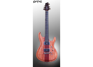 PMC GUITARS Aum