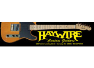 Haywire Custom Guitars Stratotelia