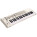 Voir la photo du E-MU SHORTboard 49 E-MU SHORTboard 49