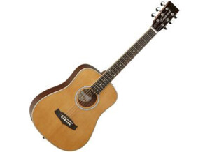 Tanglewood TB Baby