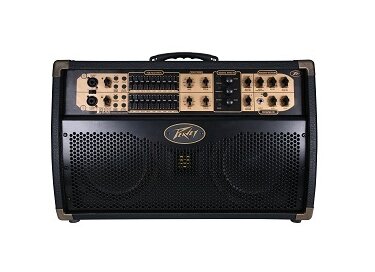 Peavey Ecoustic Session 300