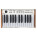 Voir la photo du Arturia Analog Experience The Player Arturia Analog Experience The Player