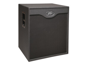 Peavey VB 410