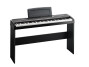Limited Edition Korg SP-170 Red