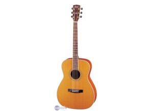 Cort Earth200GC