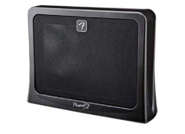 Fender Passport Executive PA