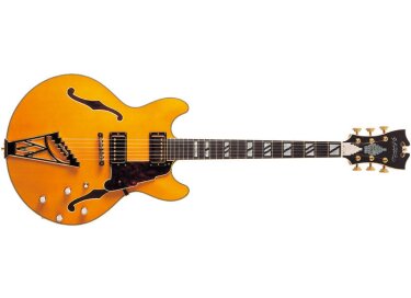 D'angelico NY-DC