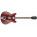 Ibanez AS73T
